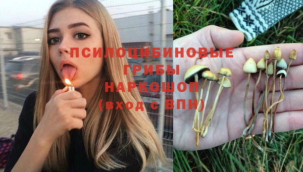 крисы Армянск