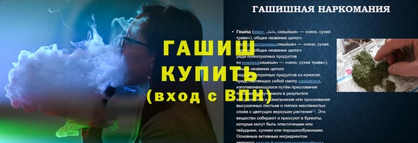 стаф Аркадак