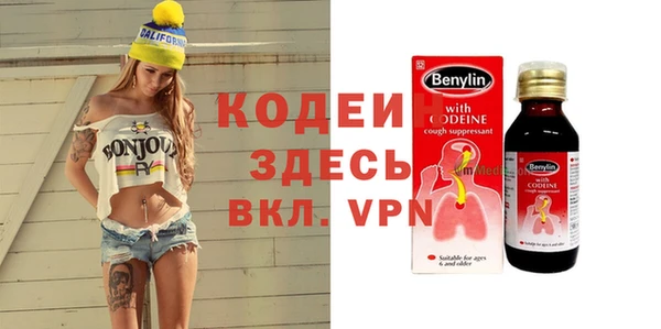 крисы Армянск