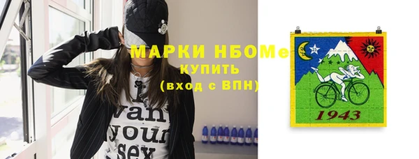 стаф Аркадак