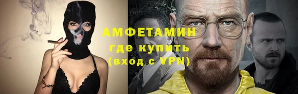 стаф Аркадак