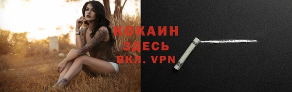 крисы Армянск