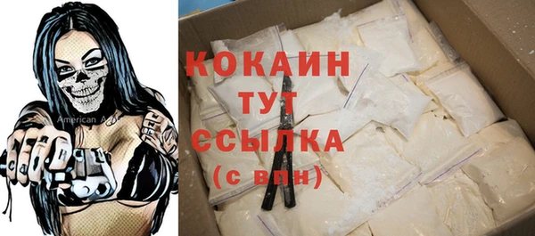 крисы Арсеньев