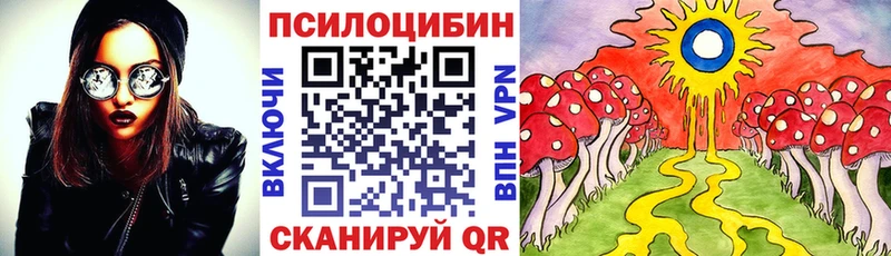 купить наркотики цена  Кувандык  Галлюциногенные грибы ЛСД 